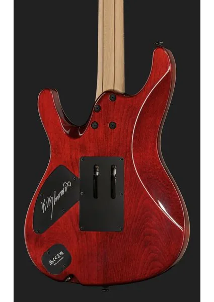 Ibanez KIKO10BP, detalj 5