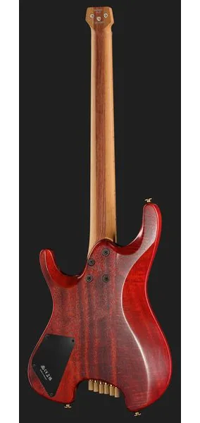 Ibanez MGFM10-OBL, detalj 3
