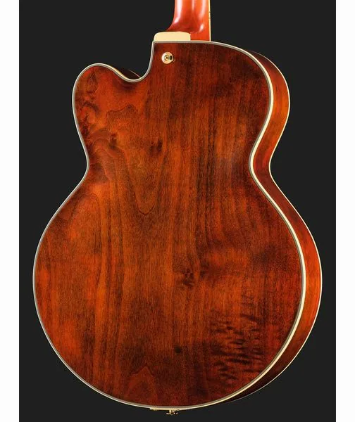 Ibanez PM3C-NAL Pat Metheny, detalj 5