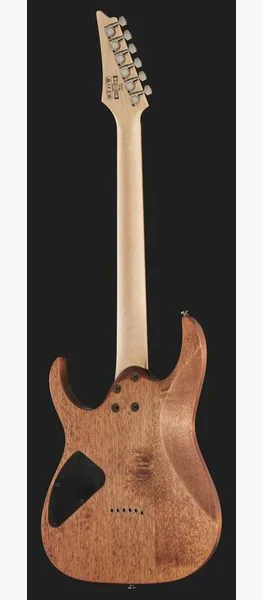 Ibanez RG421-MOL, detalj 3