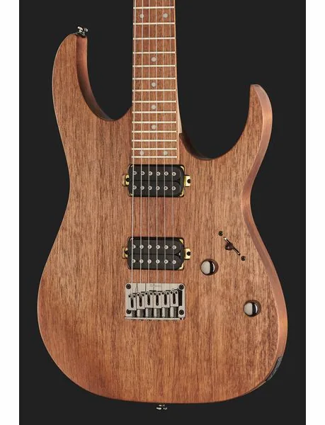 Ibanez RG421-MOL, detalj 4