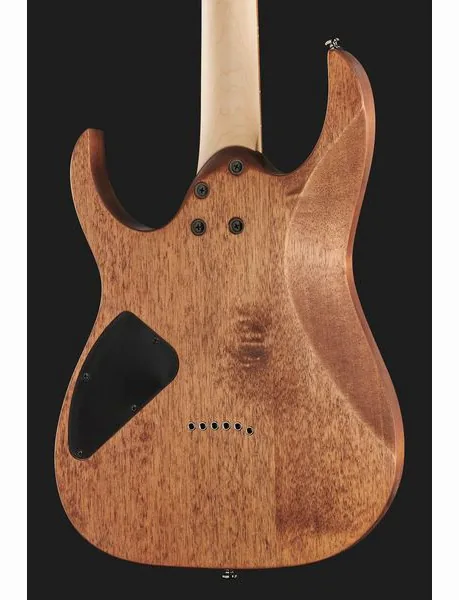 Ibanez RG421-MOL, detalj 5