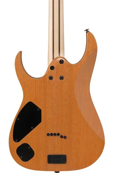 Ibanez RG5121R-DBF, detalj 5