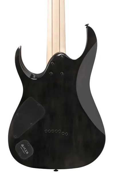 Ibanez RGA217P1PBDRL, detalj 5
