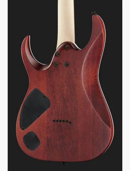 Ibanez RGA42FM-DEF, detalj 5