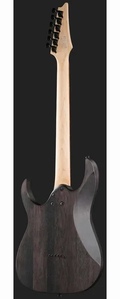 Ibanez RGR431PB-CGF, detalj 3