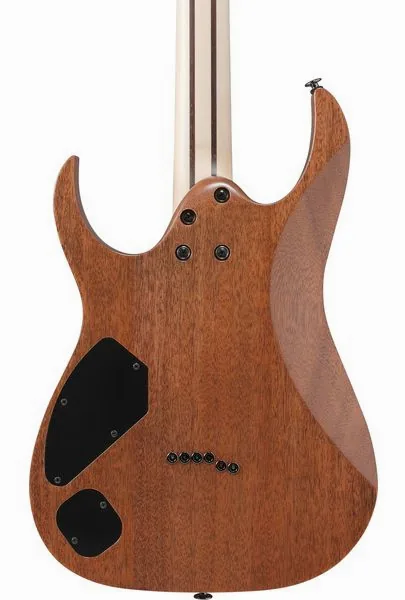 Ibanez RGR5221R-TFR, detalj 5