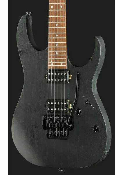 Ibanez RGRT420-WK, detalj 4