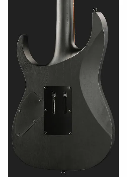 Ibanez RGRT420-WK, detalj 5