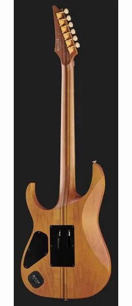 Ibanez RGT1220PB-ABS, detalj 3