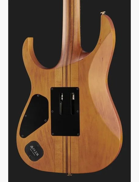 Ibanez RGT1220PB-ABS, detalj 5