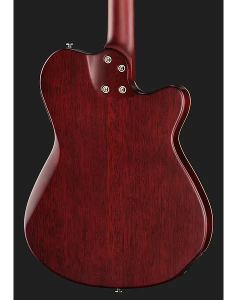 Larry Carlton G5A Tobacco Sunburst LH, detalj 5