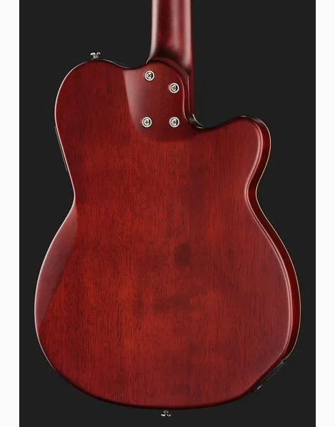 Larry Carlton G5N Natural LH, detalj 5