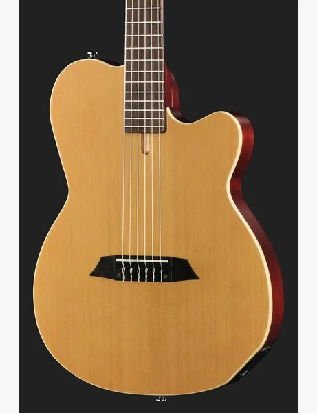 Larry Carlton G5N Natural, detalj 4