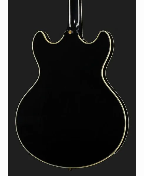 Larry Carlton H7 BK, detalj 5
