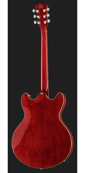Larry Carlton H7 STR, detalj 3