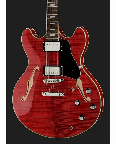Larry Carlton H7 STR, detalj 4
