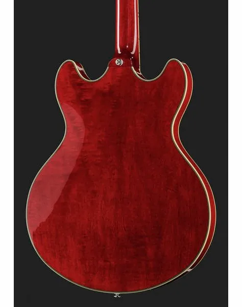 Larry Carlton H7 STR, detalj 5