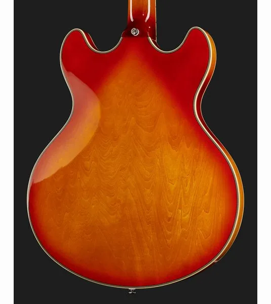 Larry Carlton H7V CS, detalj 5
