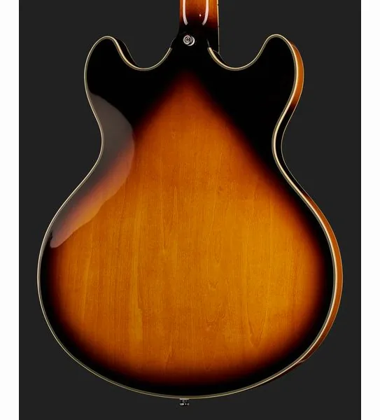 Larry Carlton H7V VS, detalj 5
