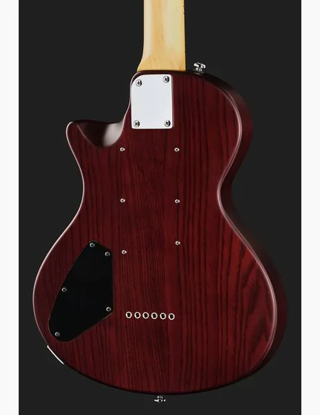 Larry Carlton I5L Tobacco Sunburst Satin, detalj 5