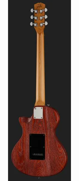 Larry Carlton I5S Tobacco Sunburst, detalj 3