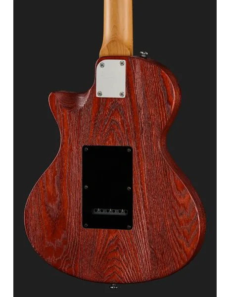 Larry Carlton I5S Tobacco Sunburst, detalj 5