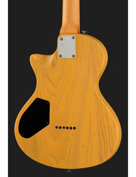 Larry Carlton I5T Butterscotch, detalj 5