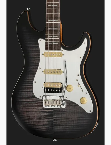 Larry Carlton S7 FM Trans Black New Gen, detalj 4