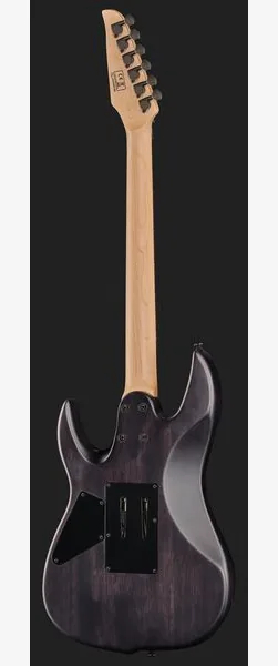Larry Carlton X5 TBKS, detalj 3