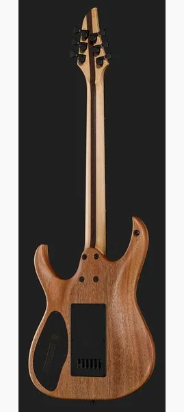 Mayones Guitars Duvell Elite 4Ever 6 PB, detalj 3