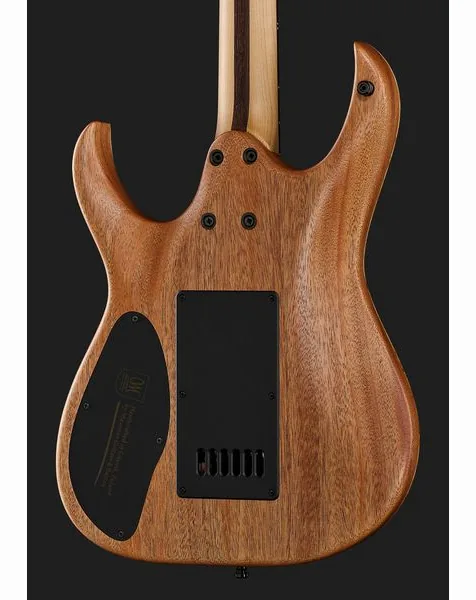 Mayones Guitars Duvell Elite 4Ever 6 PB, detalj 5