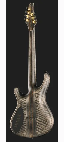 Mayones Guitars Regius 7 TDRG, detalj 3