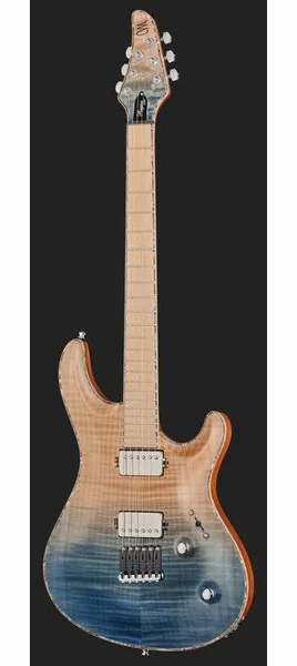 Mayones Guitars Regius Core 6 AMH, detalj 2