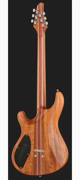 Mayones Guitars Regius Core 6 AMH, detalj 3