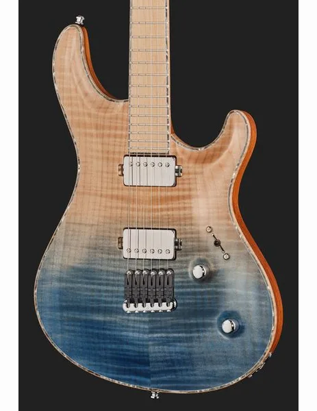 Mayones Guitars Regius Core 6 AMH, detalj 4