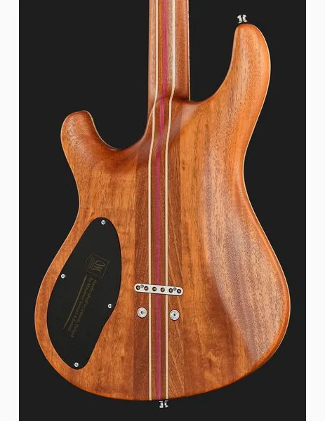 Mayones Guitars Regius Core 6 AMH, detalj 5