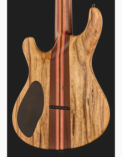 Mayones Guitars Regius Core 7 Trans Graphite, detalj 5