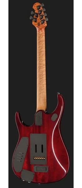 Music Man Petrucci JP15 Amber Waves FT, detalj 3