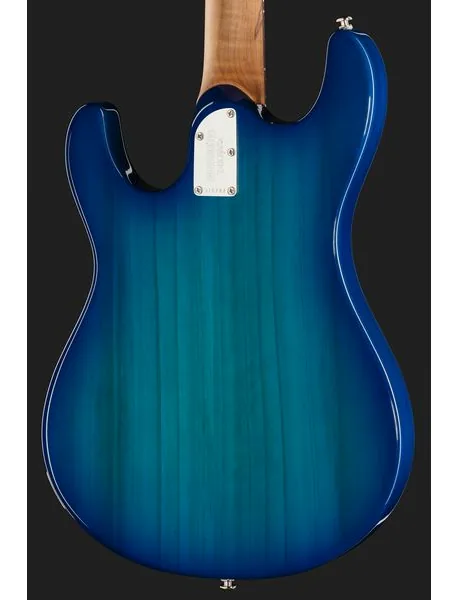 Music Man Steve Morse Standard Bl. Burst, detalj 5