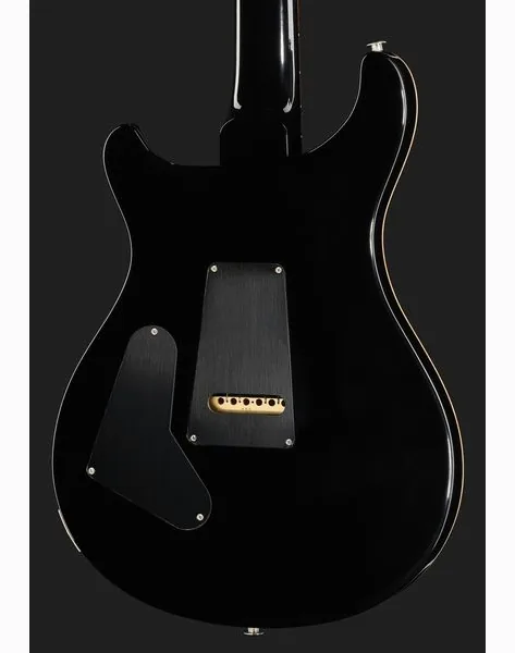 PRS 40th Anniv. Custom 24 SuZ, detalj 5