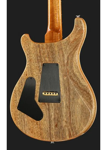 PRS Artist Grade Custom 24 S/H FI, detalj 5