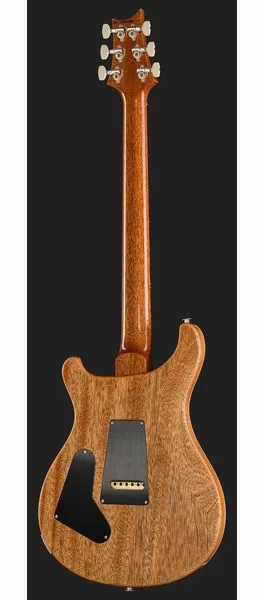 PRS Birds Of A Feather Custom 24 B, detalj 3