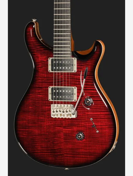 PRS Birds Of A Feather Custom 24 B, detalj 4