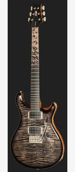 PRS Birds Of A Feather Custom 24 C, detalj 2