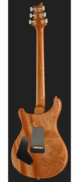 PRS Birds Of A Feather Custom 24 C, detalj 3
