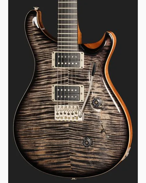 PRS Birds Of A Feather Custom 24 C, detalj 4