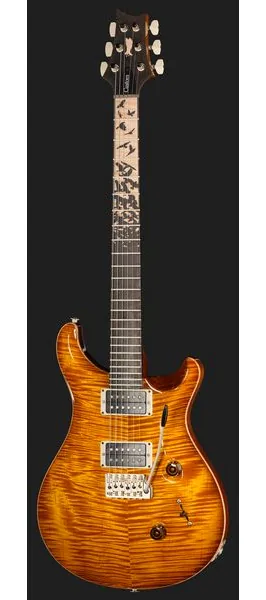 PRS Birds Of A Feather Custom 24 H, detalj 2