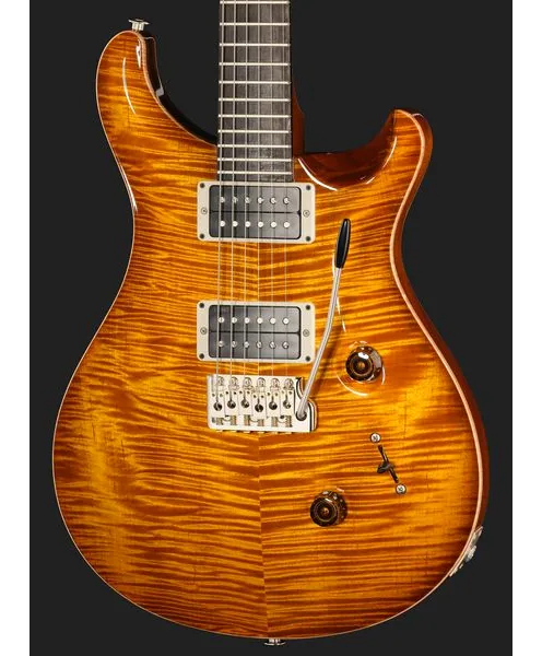 PRS Birds Of A Feather Custom 24 H, detalj 4
