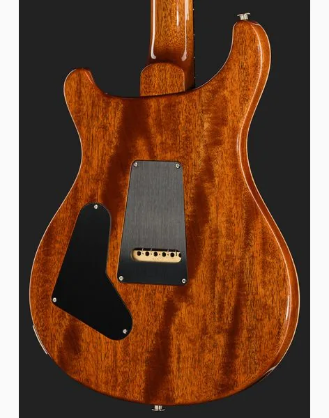 PRS Birds Of A Feather Custom 24 H, detalj 5